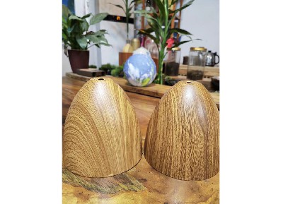 水轉(zhuǎn)印粉末涂料 (17)